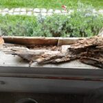 DUBONA | Galerie: Renovace a rekonstrukce historických staveb