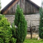 DUBONA | Galerie: Renovace a rekonstrukce historických staveb