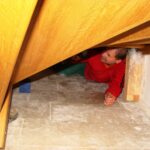 DUBONA | Galerie: Renovace a rekonstrukce historických staveb